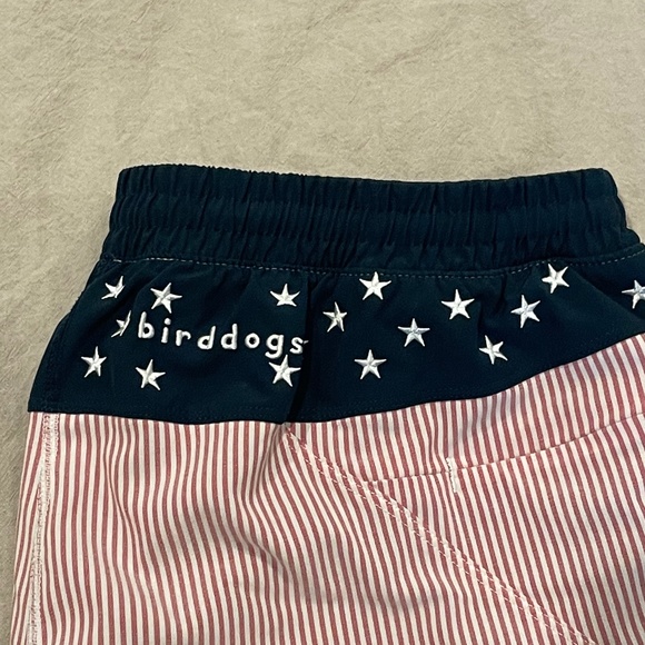 Birddogs Men Swim Hybrids - Red Stripe and Navy - Picture 7 of 10